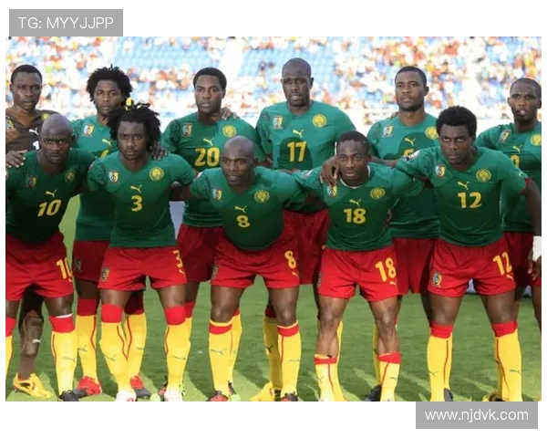 非洲杯焦点之战科特迪瓦战平喀麦隆迪亚洛建功科南自摆乌龙